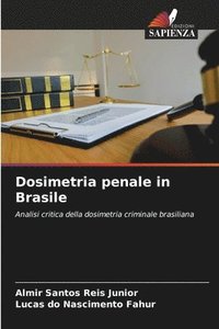 bokomslag Dosimetria penale in Brasile
