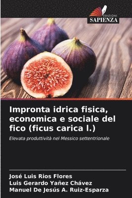 bokomslag Impronta idrica fisica, economica e sociale del fico (ficus carica l.)