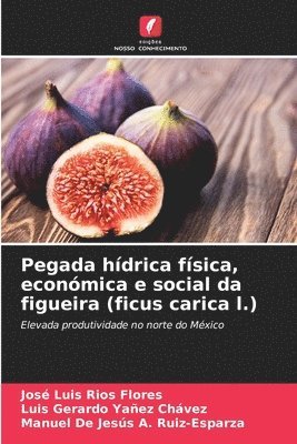 Pegada hdrica fsica, econmica e social da figueira (ficus carica l.) 1