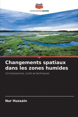 bokomslag Changements spatiaux dans les zones humides