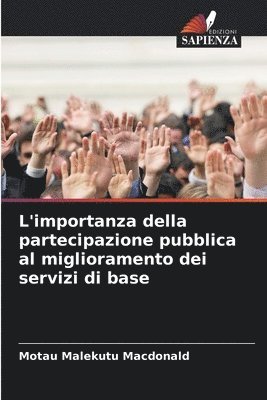 L'importanza della partecipazione pubblica al miglioramento dei servizi di base 1