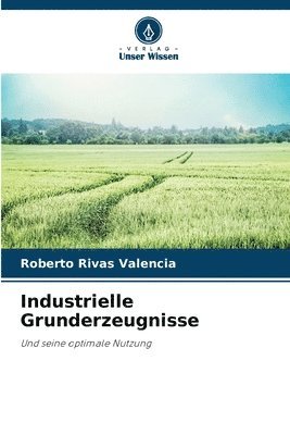 bokomslag Industrielle Grunderzeugnisse