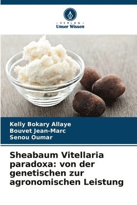 Sheabaum Vitellaria paradoxa 1