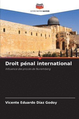 bokomslag Droit pnal international