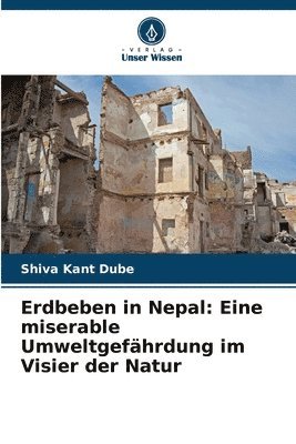 Erdbeben in Nepal 1