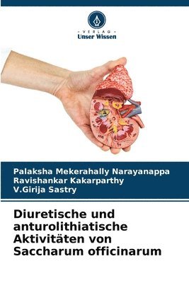 Diuretische und anturolithiatische Aktivitten von Saccharum officinarum 1