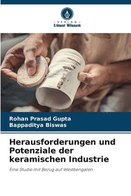 bokomslag Herausforderungen und Potenziale der keramischen Industrie