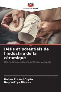 bokomslag Dfis et potentiels de l'industrie de la cramique