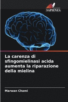 bokomslag La carenza di sfingomielinasi acida aumenta la riparazione della mielina