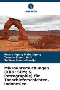 bokomslag Mikrountersuchungen (XRD; SEM; & Petrographie) fr Tonschieferschichten, Indonesien