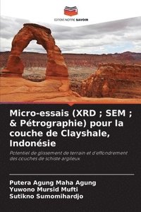 bokomslag Micro-essais (XRD; SEM; & Pétrographie) pour la couche de Clayshale, Indonésie