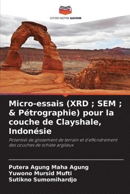 Micro-essais (XRD; SEM; & Ptrographie) pour la couche de Clayshale, Indonsie 1