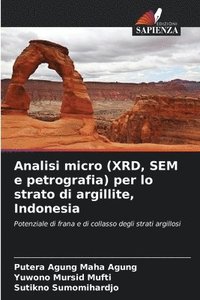 bokomslag Analisi micro (XRD, SEM e petrografia) per lo strato di argillite, Indonesia