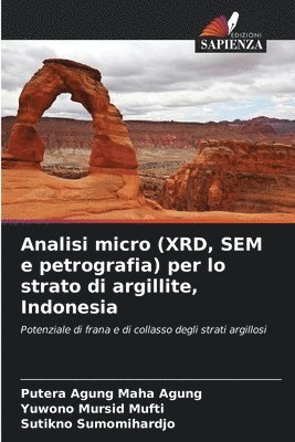 Analisi micro (XRD, SEM e petrografia) per lo strato di argillite, Indonesia 1