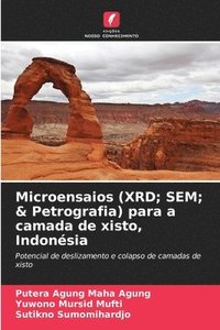 bokomslag Microensaios (XRD; SEM; & Petrografia) para a camada de xisto, Indonsia