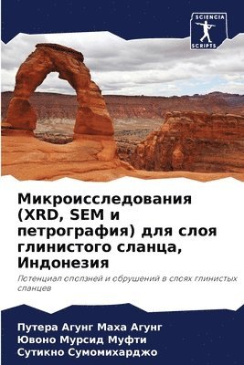 bokomslag &#1052;&#1080;&#1082;&#1088;&#1086;&#1080;&#1089;&#1089;&#1083;&#1077;&#1076;&#1086;&#1074;&#1072;&#1085;&#1080;&#1103; (XRD, SEM &#1080;