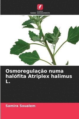 Osmoregulao numa halfita Atriplex halimus L. 1