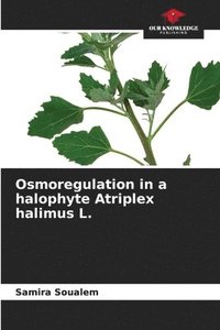 bokomslag Osmoregulation in a halophyte Atriplex halimus L.
