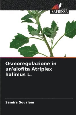 Osmoregolazione in un'alofita Atriplex halimus L. 1