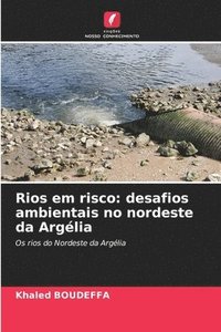 bokomslag Rios em risco