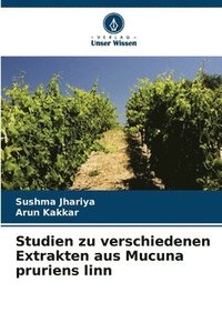 bokomslag Studien zu verschiedenen Extrakten aus Mucuna pruriens linn