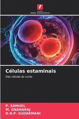 Clulas estaminais 1