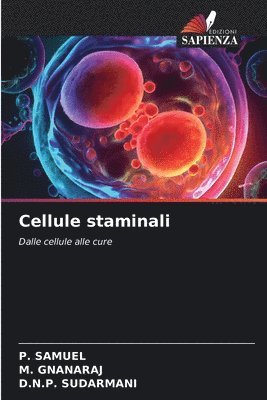 Cellule staminali 1