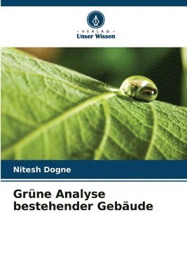 bokomslag Grne Analyse bestehender Gebude