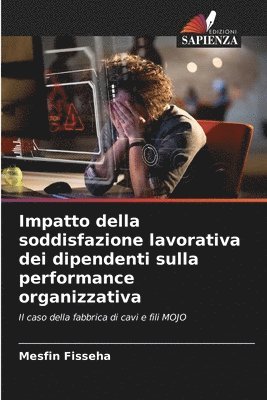 Impatto della soddisfazione lavorativa dei dipendenti sulla performance organizzativa 1