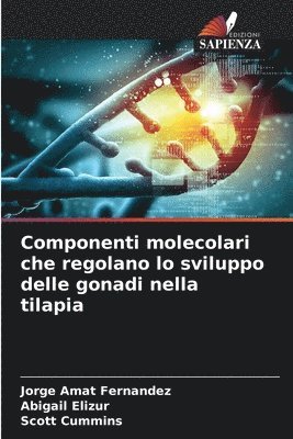 bokomslag Componenti molecolari che regolano lo sviluppo delle gonadi nella tilapia