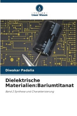 bokomslag Dielektrische Materialien