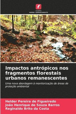 Impactos antrpicos nos fragmentos florestais urbanos remanescentes 1