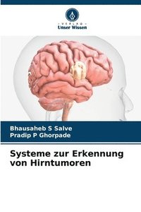 bokomslag Systeme zur Erkennung von Hirntumoren