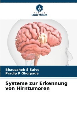 Systeme zur Erkennung von Hirntumoren 1