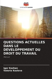 bokomslag Questions Actuelles Dans Le Dveloppement Du Droit Du Travail