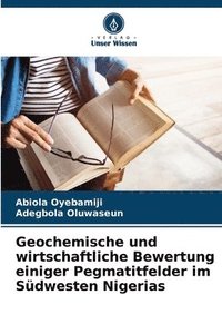 bokomslag Geochemische und wirtschaftliche Bewertung einiger Pegmatitfelder im Sdwesten Nigerias