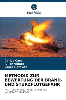 bokomslag Methodik Zur Bewertung Der Brand- Und Sturzflutgefahr