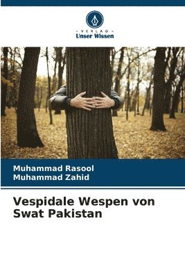 Vespidale Wespen von Swat Pakistan 1