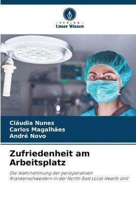 bokomslag Zufriedenheit am Arbeitsplatz