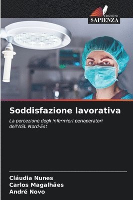 bokomslag Soddisfazione lavorativa