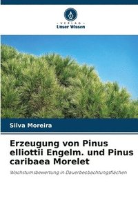 bokomslag Erzeugung von Pinus elliottii Engelm. und Pinus caribaea Morelet