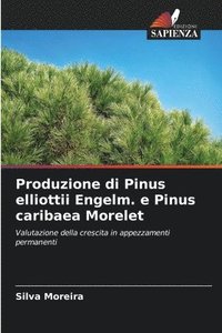 bokomslag Produzione di Pinus elliottii Engelm. e Pinus caribaea Morelet
