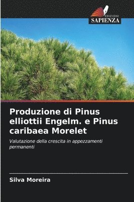 bokomslag Produzione di Pinus elliottii Engelm. e Pinus caribaea Morelet