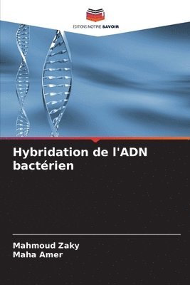 bokomslag Hybridation de l'ADN bactrien