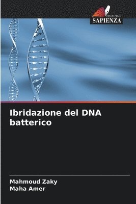 Ibridazione del DNA batterico 1