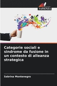 bokomslag Categorie sociali e sindrome da fusione in un contesto di alleanza strategica