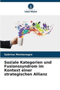 bokomslag Soziale Kategorien und Fusionssyndrom im Kontext einer strategischen Allianz