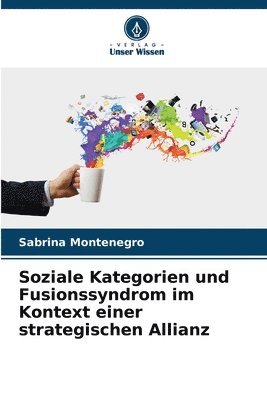 Soziale Kategorien und Fusionssyndrom im Kontext einer strategischen Allianz 1