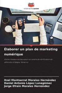 bokomslag laborer un plan de marketing numrique