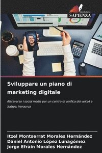 bokomslag Sviluppare un piano di marketing digitale